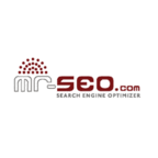 Search Engine Optimization(SEO) Mr SEO's Podcast  show