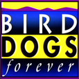 Bird Dogs Forever show