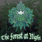 The Forest at Night show