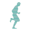 The Running Shoe show