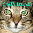 Cattitude -  The #1 Cat Podcast About Cats As Pets-  Pet Life Radio Original (PetLifeRadio.com) show