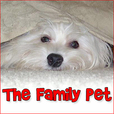 The Family Pet - Pets &amp; Animals on Pet Life Radio (PetLifeRadio.com) show