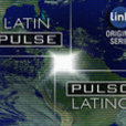 Latin Pulse show