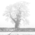 The poetry, philosophy and fiction of Luke Andreski show