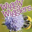 Wiggly Wigglers show