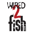 Bass fishing tips, online fishing videos and fishing tackle reviews and contests - Wired2Fish - Radio show