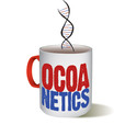 Cocoanetics show
