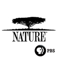 NATURE | PBS show