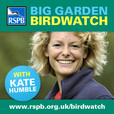 RSPB show