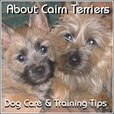 About Cairn Terriers - Dog Care and Training Tips show