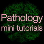 Pathology mini tutorials show