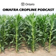 CropLine Podcast show