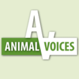 Animal Voices show