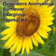 Sunflower OA Intergroup » Podcast Feed show