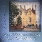 Short Ghost and Horror Collection 011 by VARIOUS show