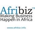 Afribiz: Business &amp; Investment in Africa show