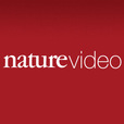 Nature Video show