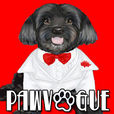 PawVogue with Cuba, America's Top-Dog - Pet Fashion on Pet Life Radio (PetLifeRadio.com) show