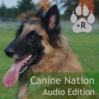 Canine Nation show