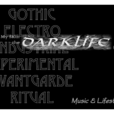 The sounds of DARKLIFE show
