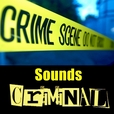 Sounds Criminal show