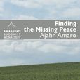 Finding the Missing Peace by Ajahn Amaro (+ ebook) show