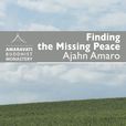 Finding the Missing Peace by Ajahn Amaro (+ ebook)  show