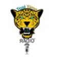tealtimeradio's podcast show