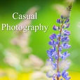 Casual Photography show