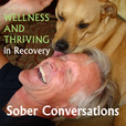 Sober Conversations show