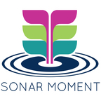 Sonar Moment - Reflections on leadership from CEOs in the Pacific Northwest show