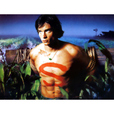 Forever Smallville show