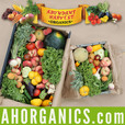 Abundant Harvest Organics show