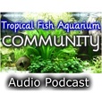 Tropical Fish Aquarium Community » Audio Podcast show