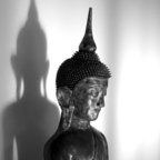Insight Meditation Society - Forest Refuge: dharma talks and meditation instruction show