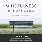 Mindfulness in 8 Weeks: 20 Minutes a Day Program show