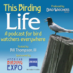 This Birding Life show