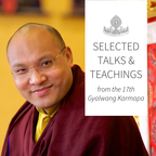 Karmapa - Selected Talks on Buddhism, Philosophy, and Meditation. show