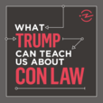 What Trump Can Teach Us About Con Law show