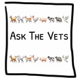 Ask The Vets show