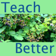 The Teach Better Podcast show