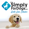Simply For Dogs|Franklin Medina discusses the latest dog tips, dog strategies, dog training, and everything related to dogs show