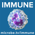 Immune show