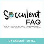 The Succulent FAQ show