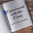 I Learn To Write By Writing and Experiments with the Essay show