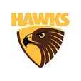 Hawthorn Football Club show