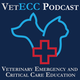 The VetECC Podcast show