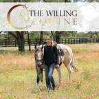 The Willing Equine show