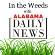 In the Weeds with Alabama Daily News show