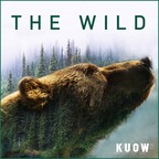 The Wild with Chris Morgan show